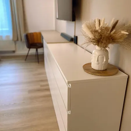 371living, Altbau-charme Am Kassberg, Perfekt Fuer Workation, Urlaub Oder Kurztrip, Entdecke Chemnitz, Moderne Kueche, Waschmaschine, Smart Tv, Schnelles Wlan, Bequemes Bett Chemnitz